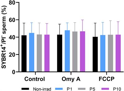 Red LED Light Acts on the Mitochondrial Electron Chain of Donkey Sperm and Its Effects Depend on the Time of Exposure to Light